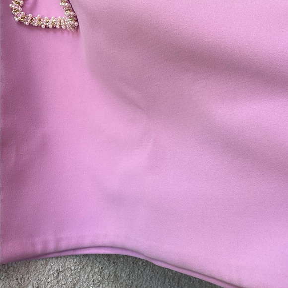 Nadine Merabi Simone Mini Dress with Embellished Trim Funnel Neck Pink Size 6 - Picture 13 of 13